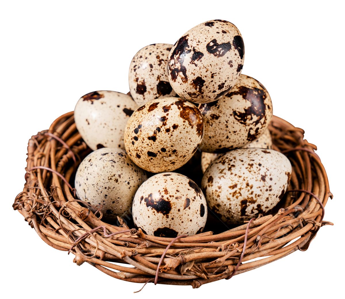 Specialty Eggs