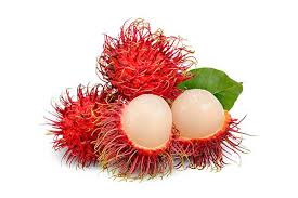 Rambutan