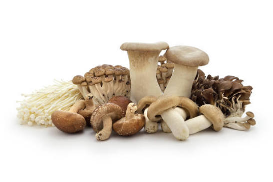Mushroom