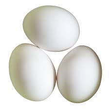 White Eggs