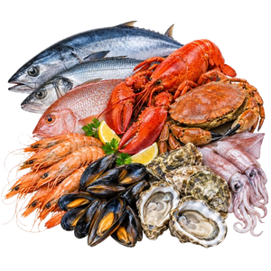 All Seafood