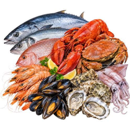 All Seafood
