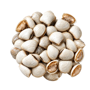 Shellfish