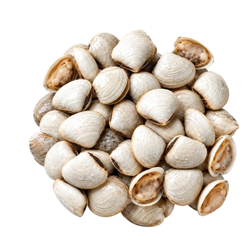 Shellfish