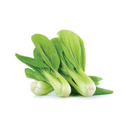 PAKCHOI BABY (BAHRAIN)