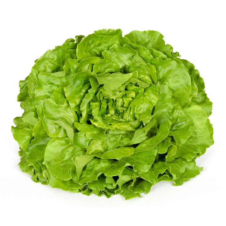 Lettuce