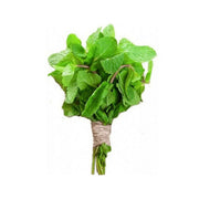 MINT (KSA)