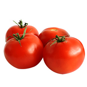 TOMATO (JORDAN)