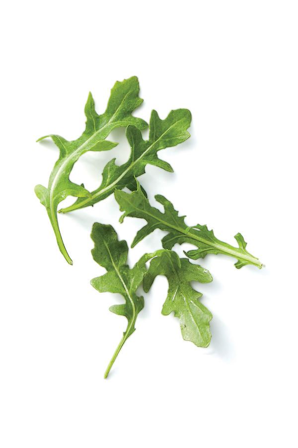 LETTUCE RUCOLA BABY (NETHERLANDS)