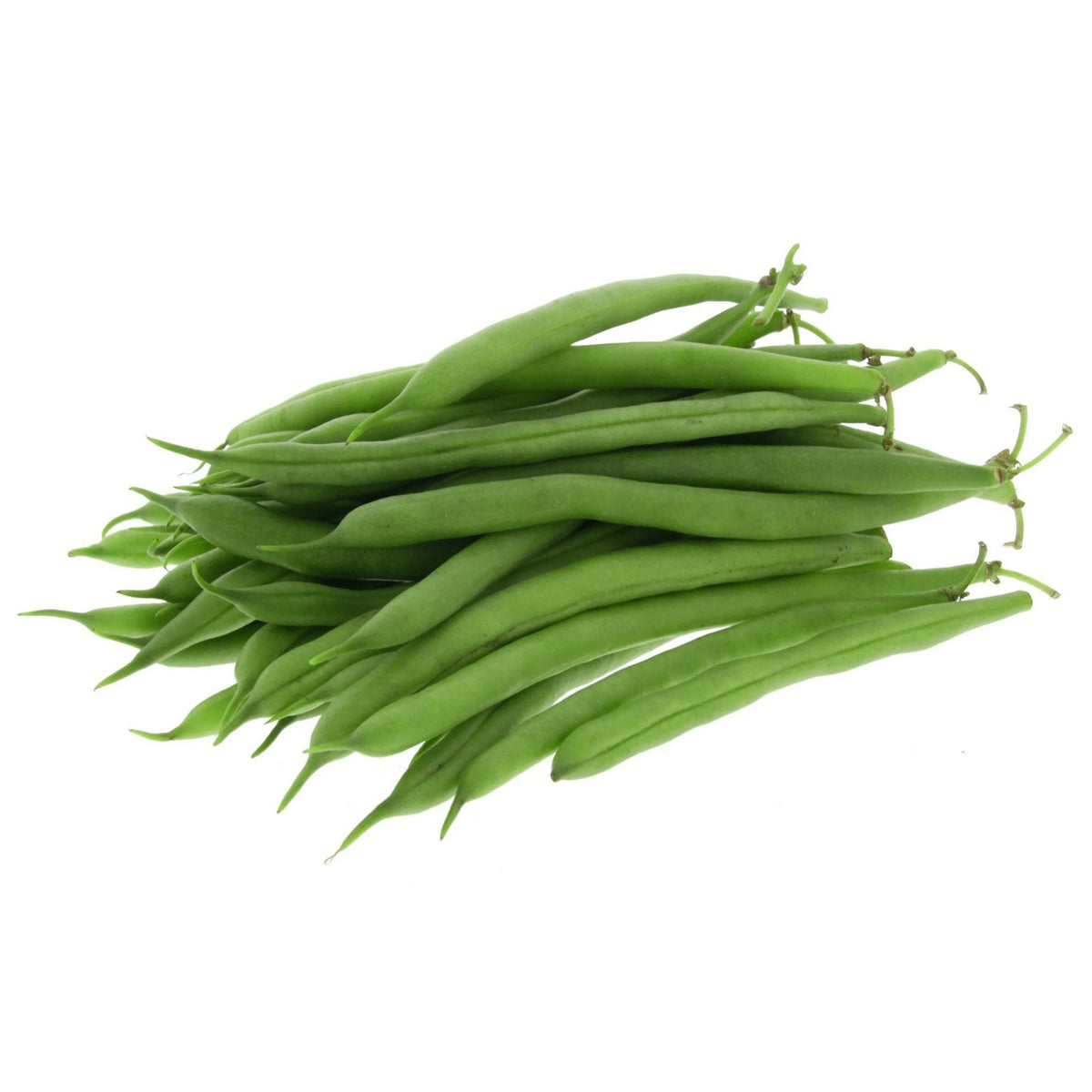 BEANS FRENCH (KSA)
