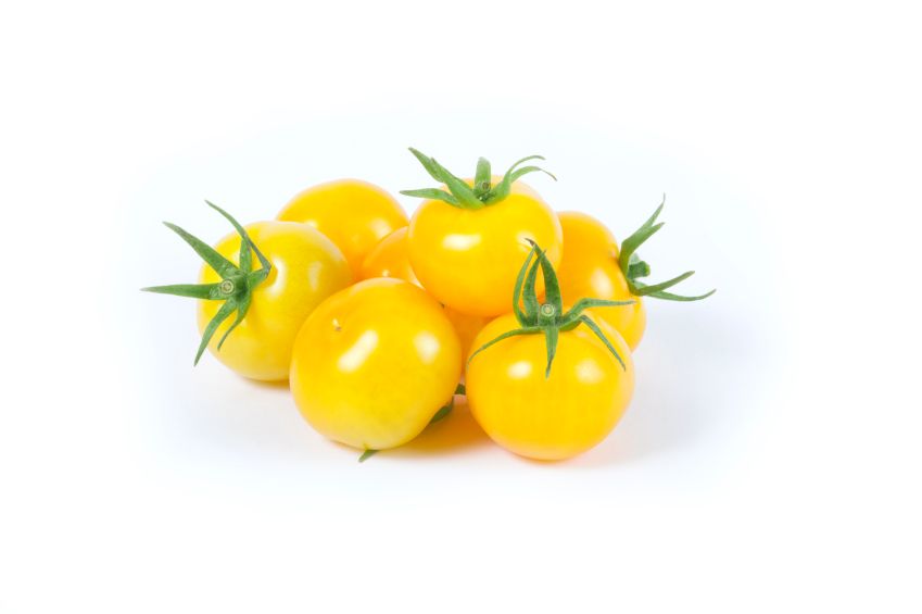 طماطم كرزية صفراء (هولندا)