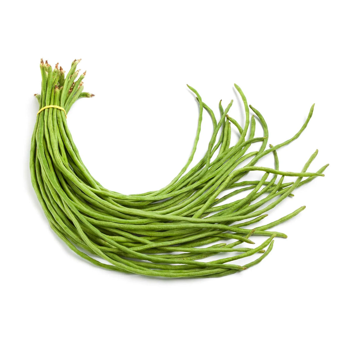 BEANS LONG (INDIA)