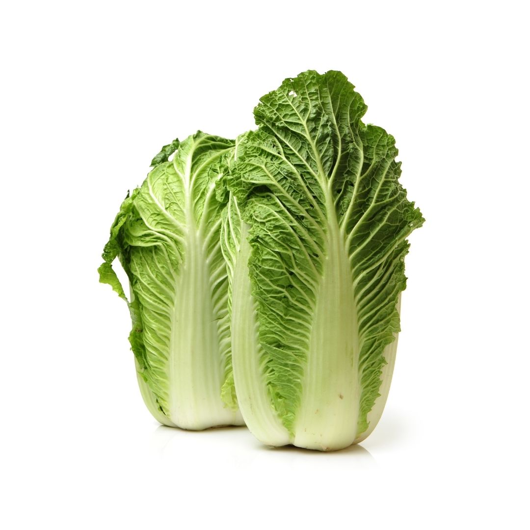 CABBAGE CHINESE (CHINA)