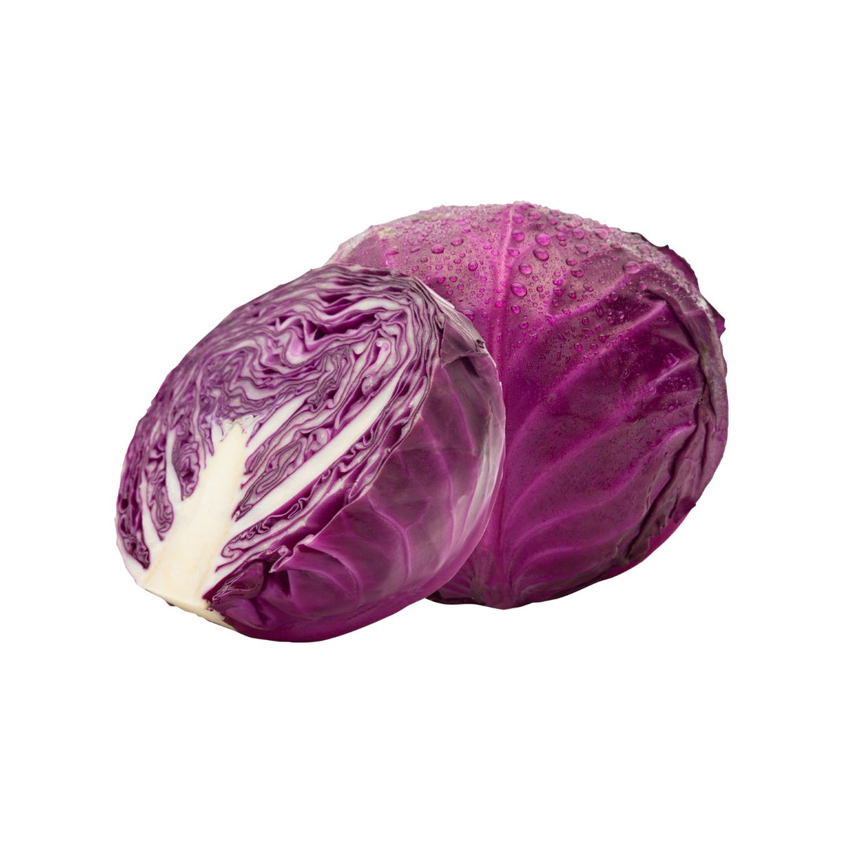 CABBAGE RED (JORDAN)