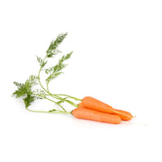 CARROT BABY (USA)