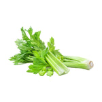 CELERY (NETHERLANDS)