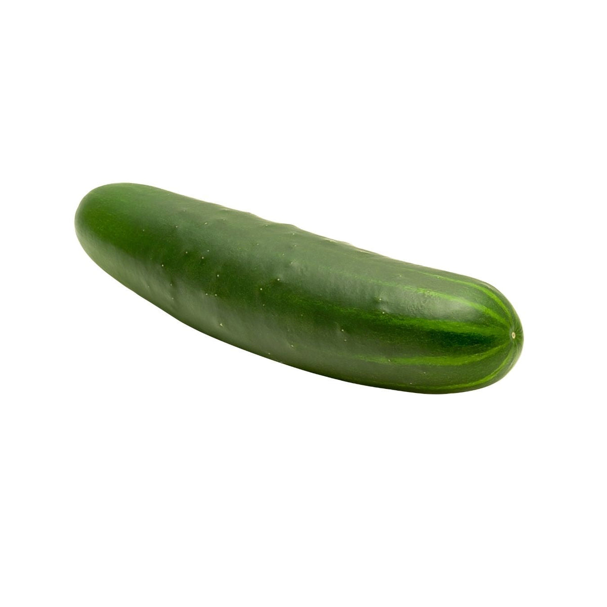 خيار (هولندا)