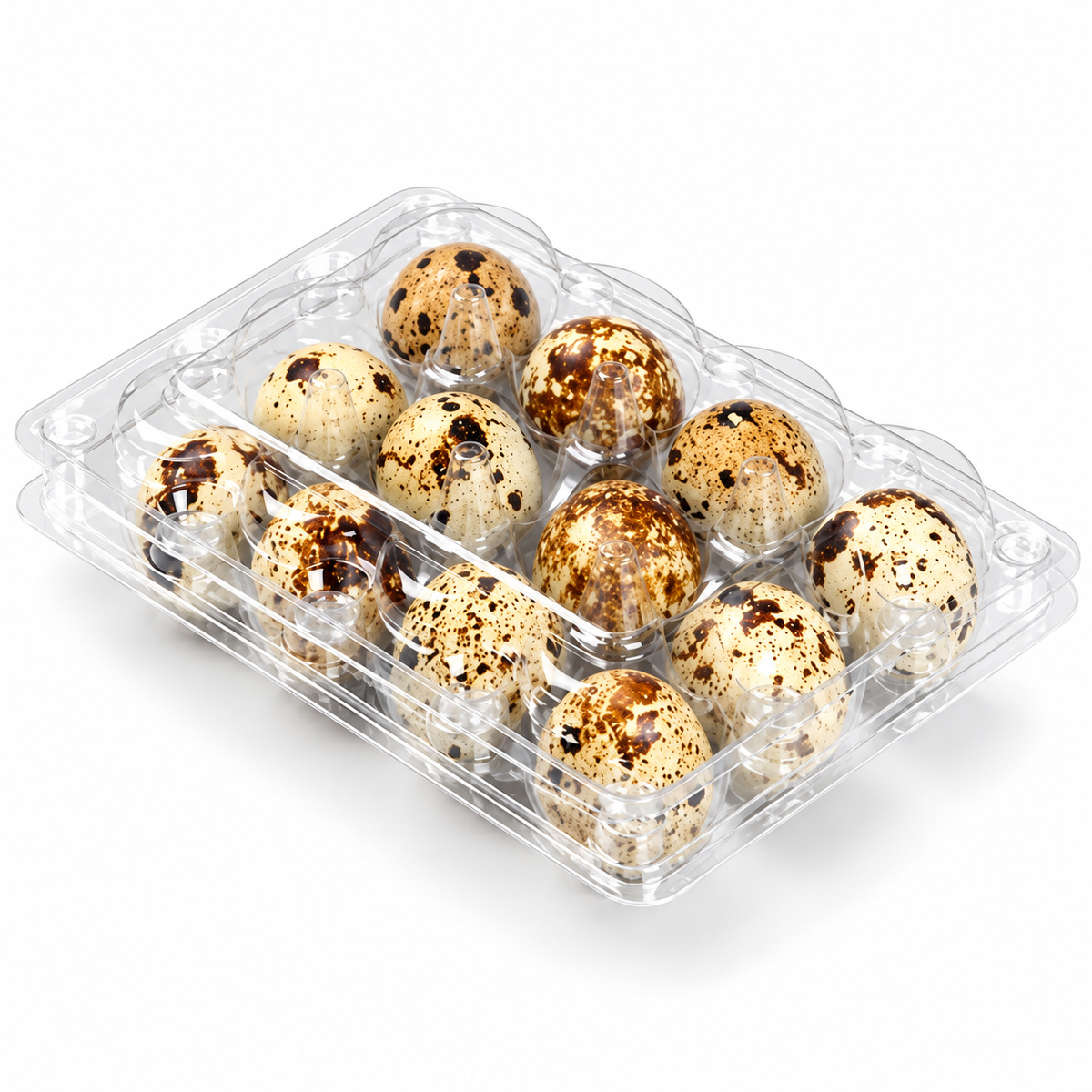 Quail Eggs