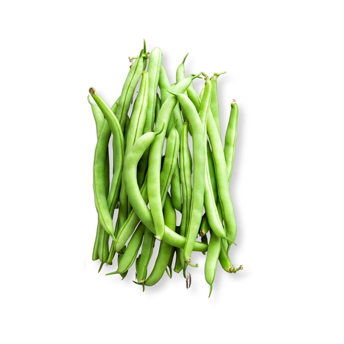 BEANS FRENCH (INDIA)