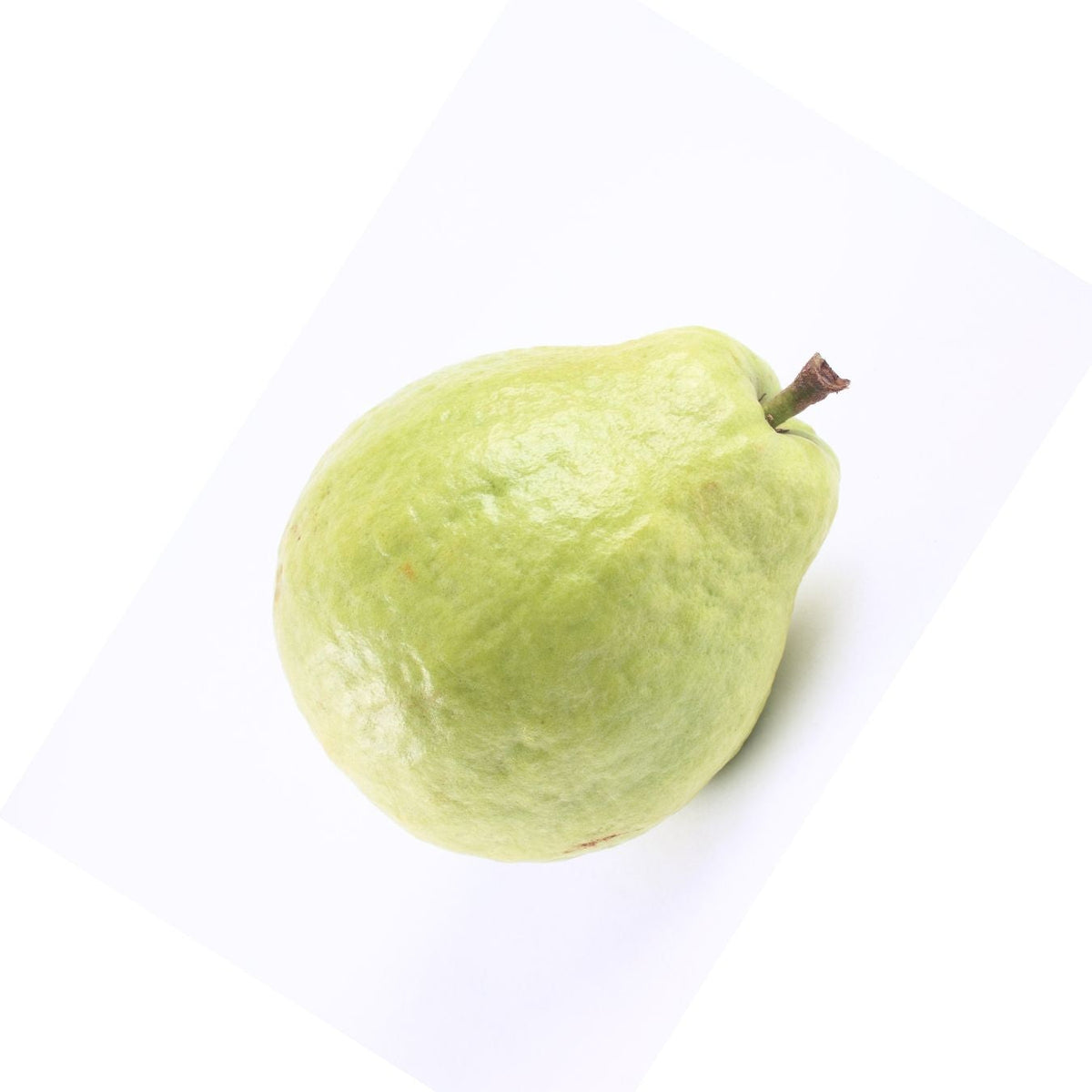 جوافة (مصر)