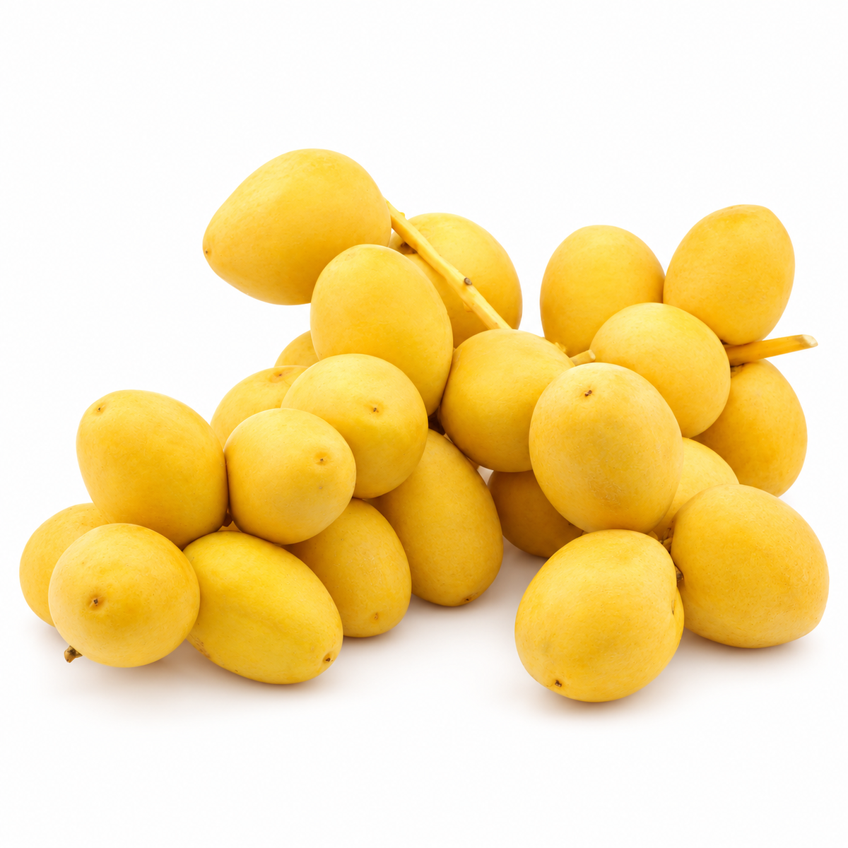 تمر برحي طازج (الأردن)