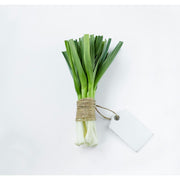 LEEKS (NETHERLANDS)