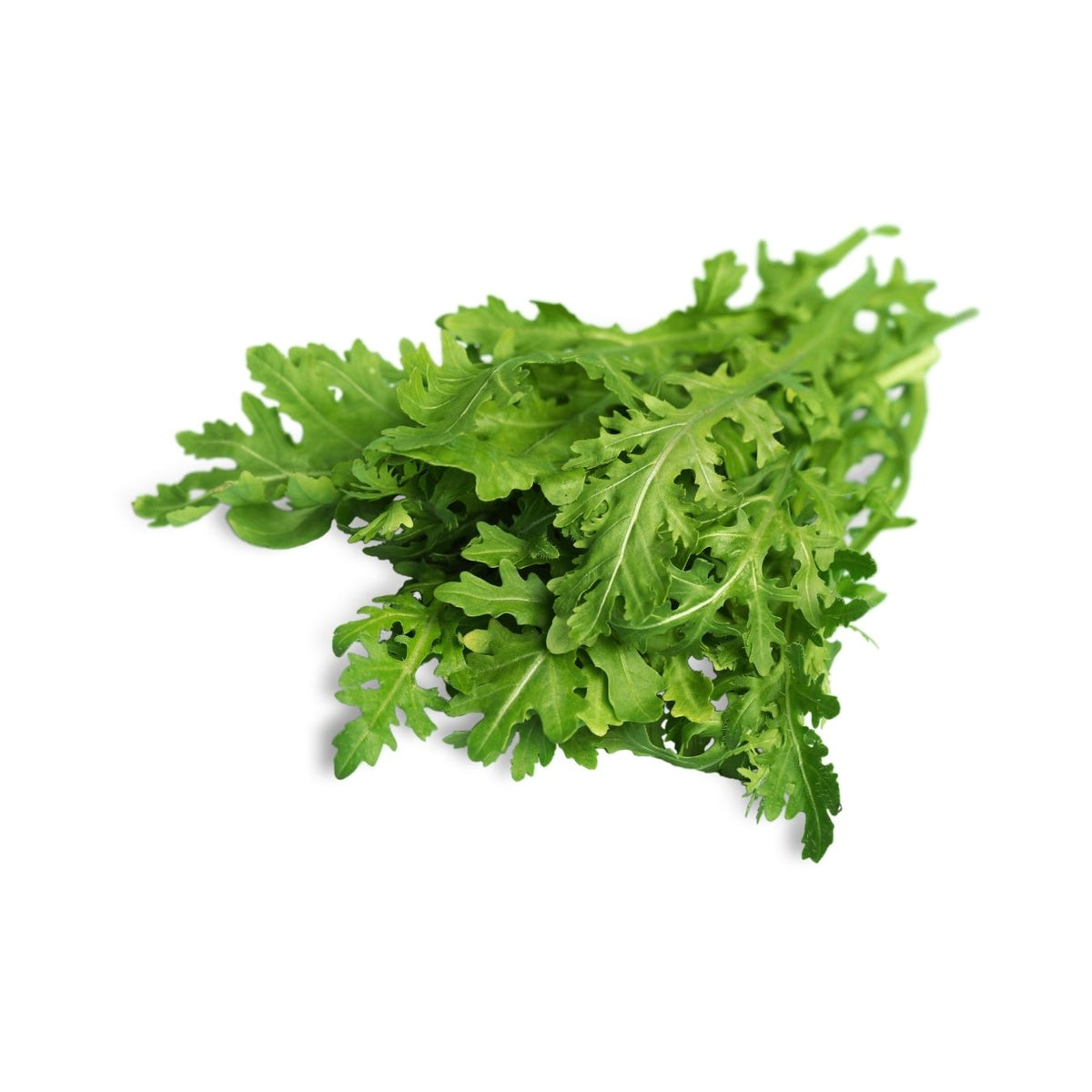 LETTUCE RUCOLA BABY (BAHRAIN)