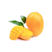 MANGO ZEIBDI (EGYPT)