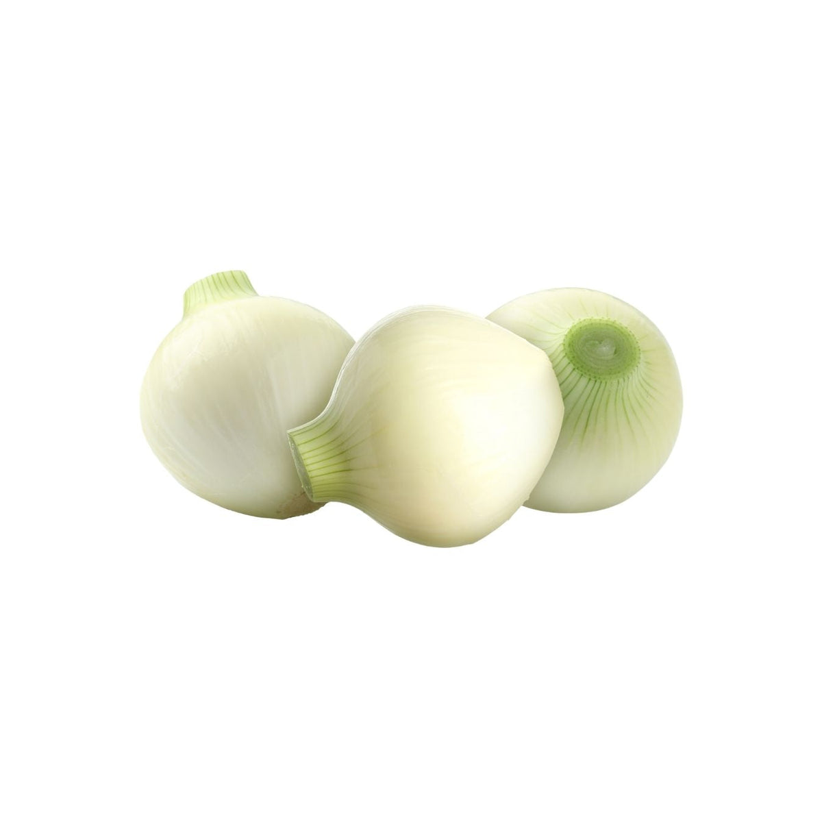 بصل أبيض (عماني)