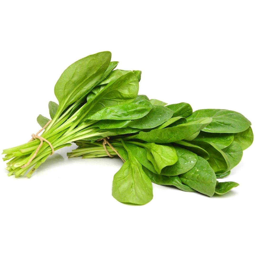 خس سبانخ صغيرة (هولندا)