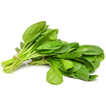 LETTUCE BABY SPINACH (NETHERLANDS)