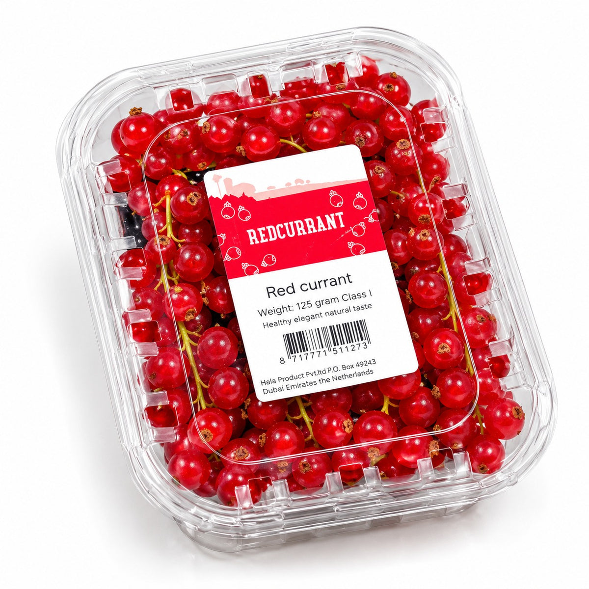 RED CURRENT (NETHERLANDS)
