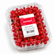 RED CURRENT (NETHERLANDS)