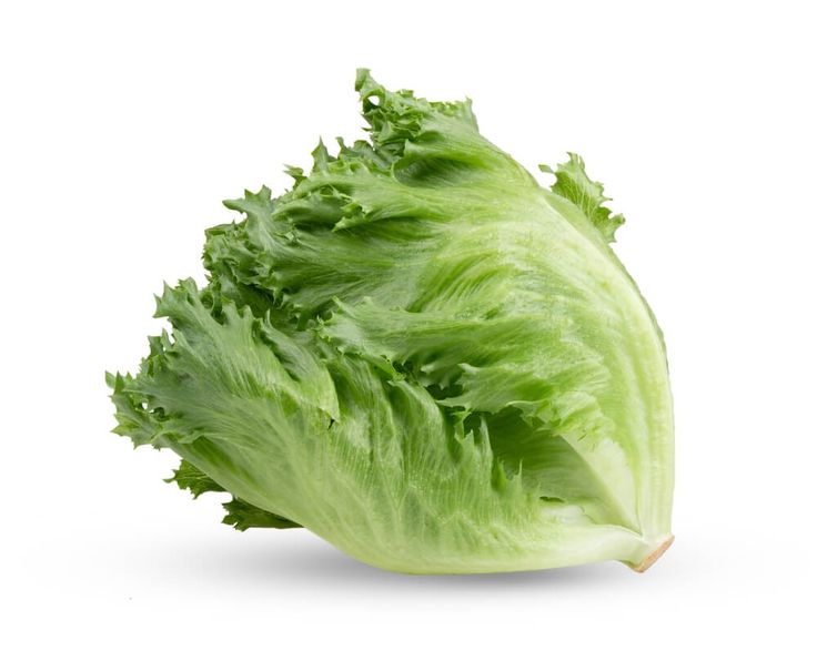 LETTUCE FRISEE (BAHRAIN)