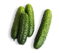 يصل إلى باب منزلك