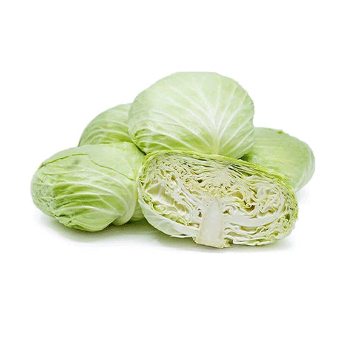CABBAGE WHITE FLAT (JORDAN)