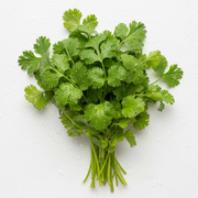 CORIANDER (KSA)