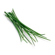 CHIVES (NETHERLANDS)