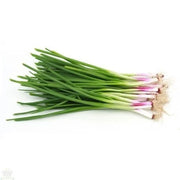 SPRING ONION (KSA)