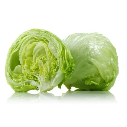 LETTUCE ICEBURG (NETHERLANDS)