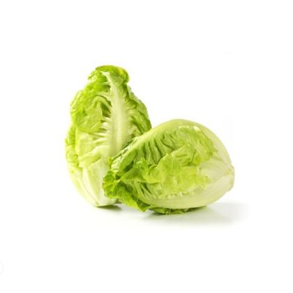 LETTUCE LITTLE GEM  (SPAIN)