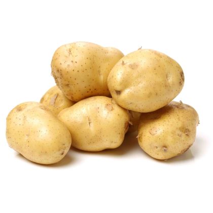 POTATO SPUNTTA (KSA)