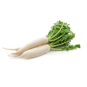فجل أبيض (البحرين)