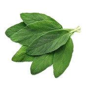 SAGE (KENYA)
