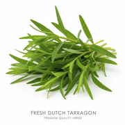 TARRAGON (NETHERLANDS)