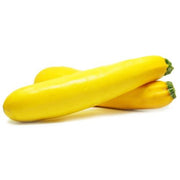 كوسة صفراء (هولندا)